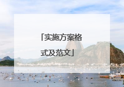 实施方案格式及范文