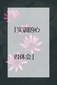 实训的心得体会