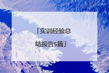 实训经验总结报告5篇