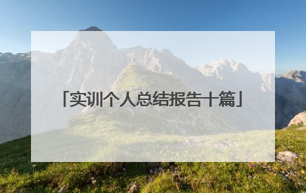 实训个人总结报告十篇