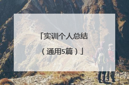 实训个人总结（通用5篇）