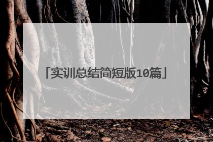 实训总结简短版10篇