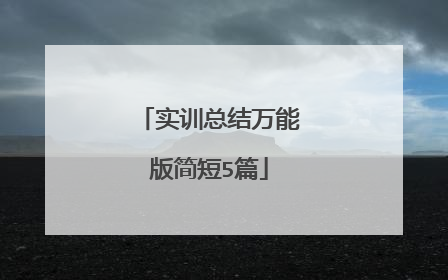 实训总结万能版简短5篇