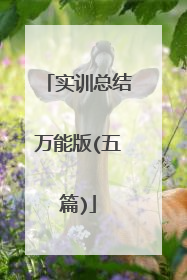 实训总结万能版(五篇)