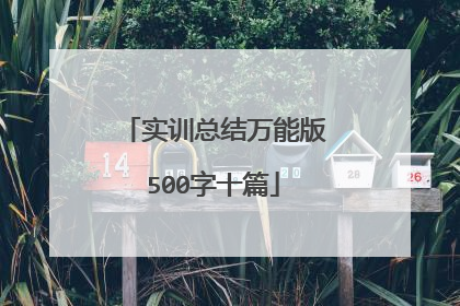 实训总结万能版500字十篇