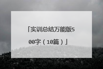 实训总结万能版500字(10篇)