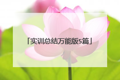 实训总结万能版5篇