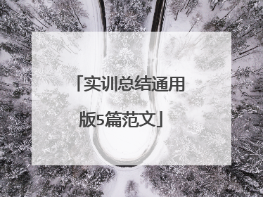 实训总结通用版5篇范文