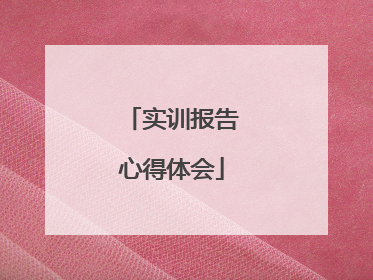 实训报告心得体会