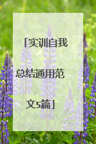 实训自我总结通用范文5篇