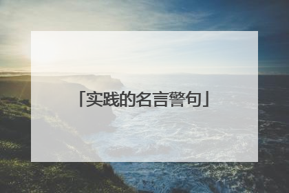 实践的名言警句