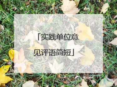 实践单位意见评语简短