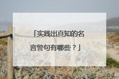 实践出真知的名言警句有哪些？