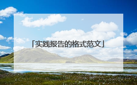 实践报告的格式范文