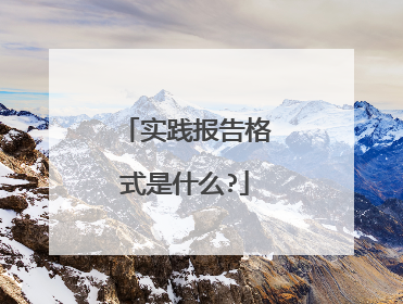 实践报告格式是什么?