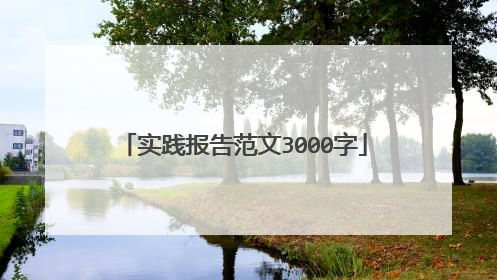 实践报告范文3000字