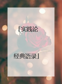 实践论 经典语录