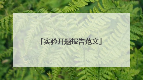 实验开题报告范文
