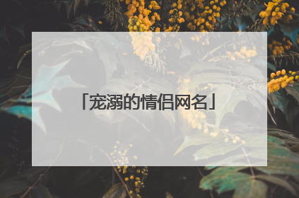 宠溺的情侣网名
