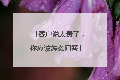 客户说太贵了，你应该怎么回答