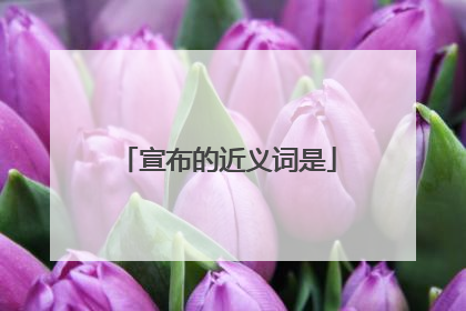 宣布的近义词是