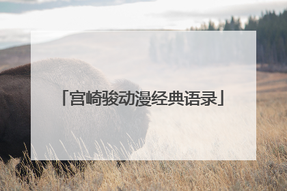 宫崎骏动漫经典语录