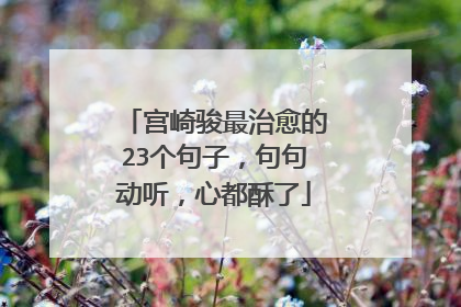 宫崎骏最治愈的23个句子，句句动听，心都酥了