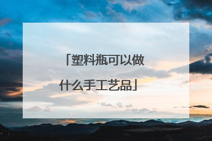 塑料瓶可以做什么手工艺品