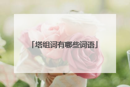 塔组词有哪些词语