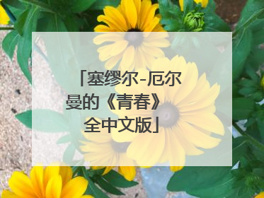 塞缪尔-厄尔曼的《青春》 全中文版