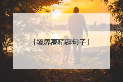 境界高精辟句子