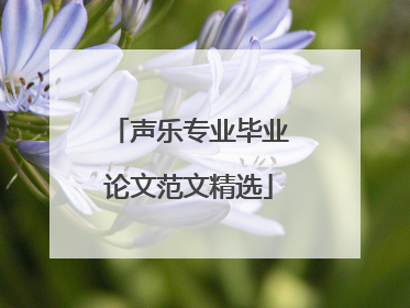 声乐专业毕业论文范文精选