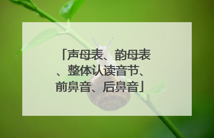声母表、韵母表、整体认读音节、前鼻音、后鼻音