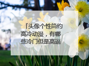 头像个性简约高冷动漫,有哪些冷门但是高逼格的头像吗?