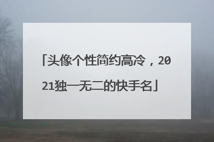 头像个性简约高冷，2021独一无二的快手名