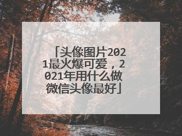 头像图片2021最火爆可爱,2021年用什么做微信头像最好