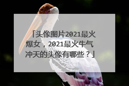 头像图片2021最火爆女,2021最火牛气冲天的头像有哪些?