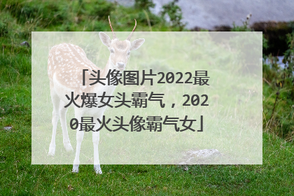 头像图片2022最火爆女头霸气,2020最火头像霸气女