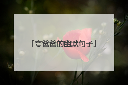 夸爸爸的幽默句子