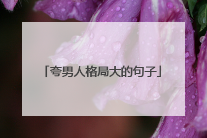 夸男人格局大的句子