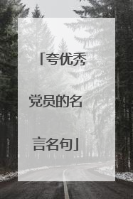 夸优秀党员的名言名句