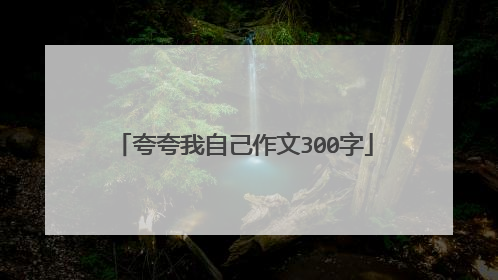 夸夸我自己作文300字