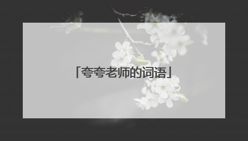 夸夸老师的词语