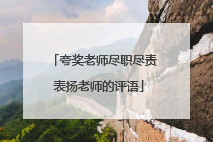 夸奖老师尽职尽责表扬老师的评语