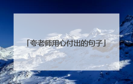 夸老师用心付出的句子