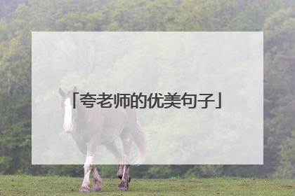 夸老师的优美句子