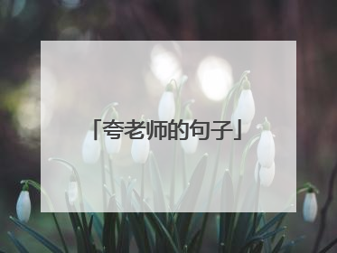 夸老师的句子