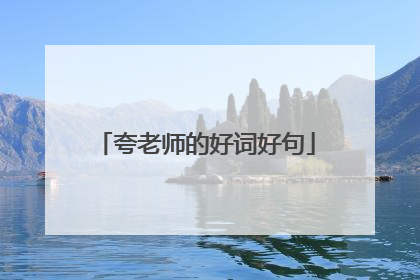 夸老师的好词好句