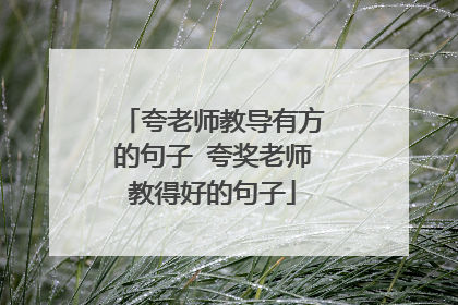 夸老师教导有方的句子 夸奖老师教得好的句子