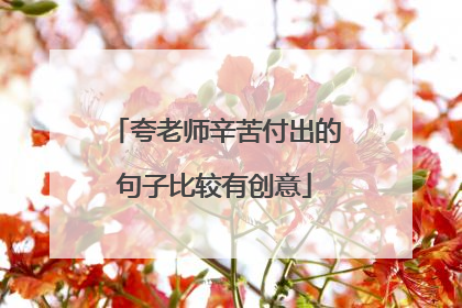 夸老师辛苦付出的句子比较有创意